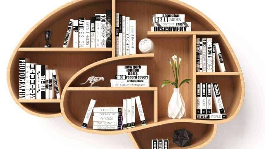 A wooden bookshelf in the shape of a human brain filled with books on various subjects. 