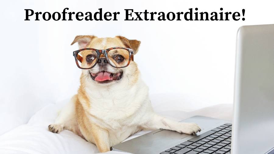 A cute dog wearing glasses with his paw on the keyboard of a laptop. 