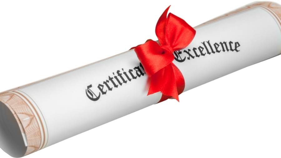 Generic certificate of excellence tied up with a red bow. 