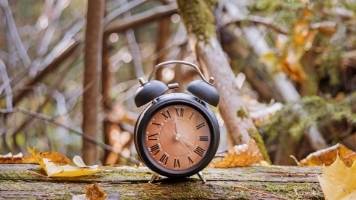 An old-school alarm clock with a peach-colored face sitting on a log outside in Autumn. 