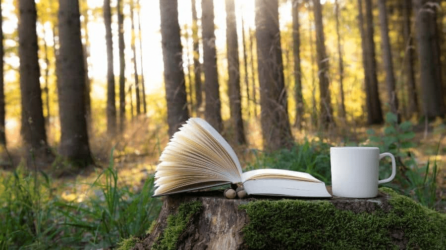 An open book, a coffee mug, and a couple of acorns sit on a mossy tree stump in the forest. 